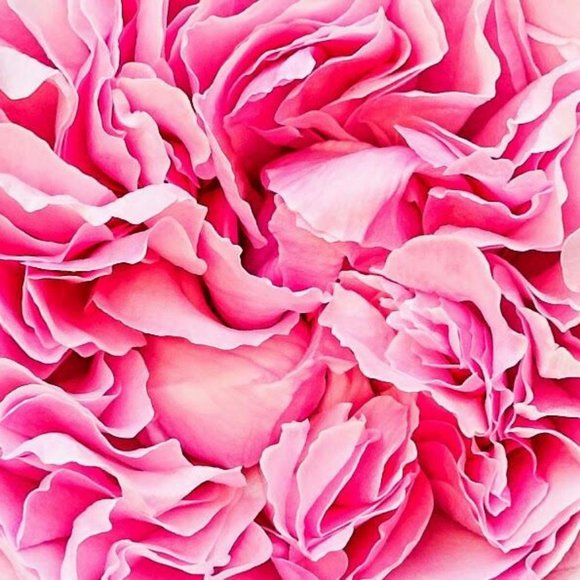 Designer Bags, Clothing, Shoes, Hermès Scarves, Accessories 💋 - Picture 12 of 15